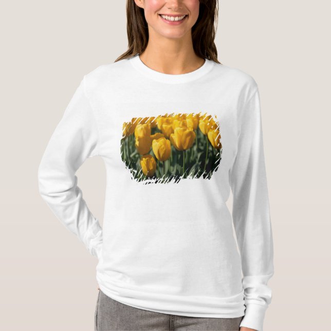 Camiseta Tulipanes 3 (Anverso)