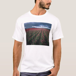 Camiseta Tulipanes brillantes rosados y rojos brillan bajo