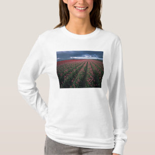 Camiseta Tulipanes brillantes rosados y rojos brillan bajo 