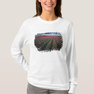 Camiseta Tulipanes brillantes rosados y rojos brillan bajo 