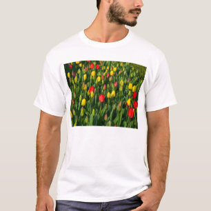 Camiseta Tulipanes coloridos