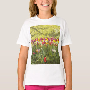 Camiseta Tulipanes coloridos en un parque