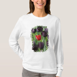 Camiseta Tulipanes en los jardines de Keukenhof, Ámsterdam,