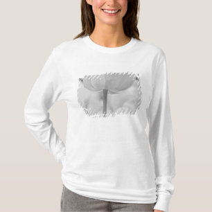 Camiseta Tulipanes en los jardines de Keukenhof, Holanda.