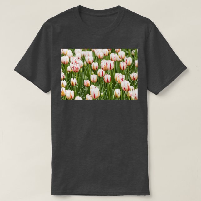 Camiseta Tulipanes en primavera (Diseño del anverso)