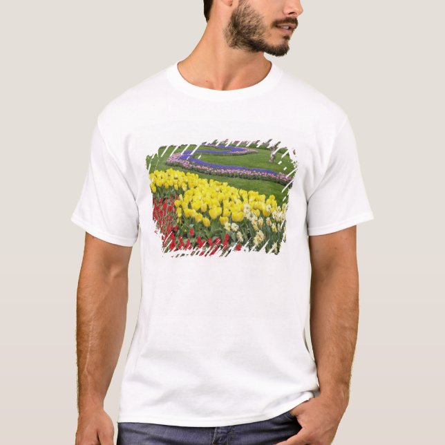 Camiseta Tulipanes, jacintos de uva y narcisos, (Anverso)