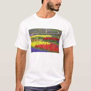 Camiseta Tulipanes, jacintos de uva y narcisos, 2