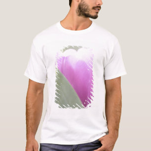 Camiseta Tulipanes, Jardines Keukenhoff, Países Bajos. 2