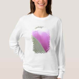 Camiseta Tulipanes, Jardines Keukenhoff, Países Bajos. 2