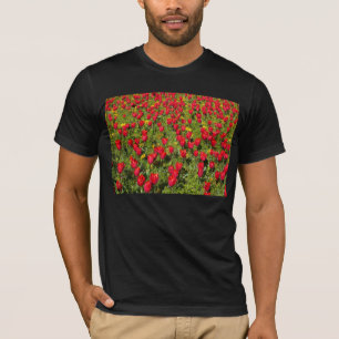Camiseta Tulipanes Rojos
