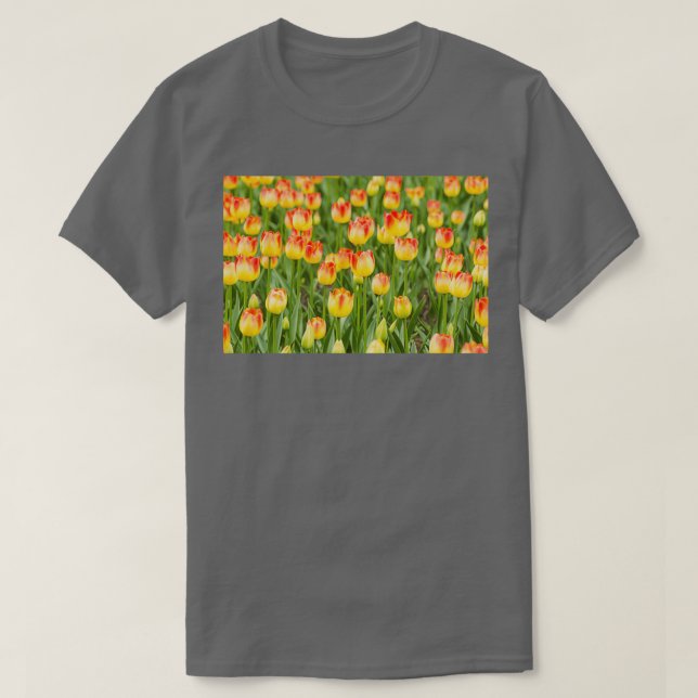 Camiseta Tulips in the spring time (Diseño del anverso)