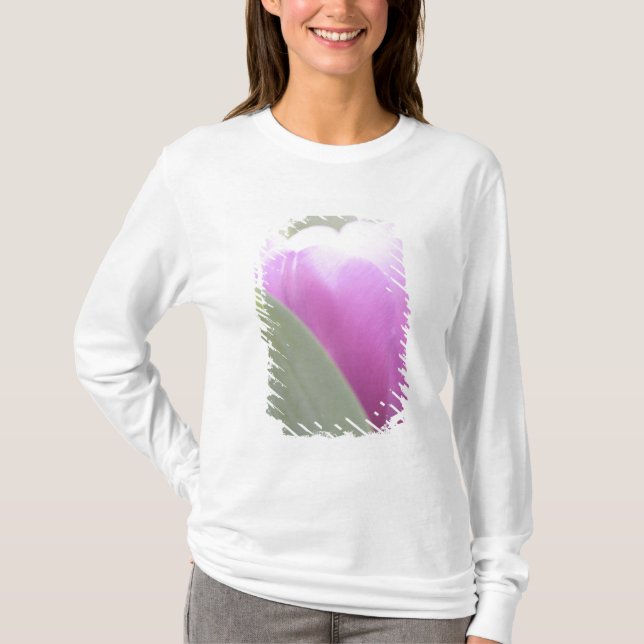 Camiseta Tulips, Jardines Keukenhoff, Países Bajos.2 (Anverso)