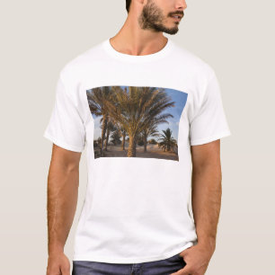 Camiseta Túnez, desierto del Sahara, Douz, gran duna, palm