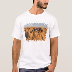Camiseta Túnez, zona de Ksour, Ksar Ghilane, Gran Erg 5