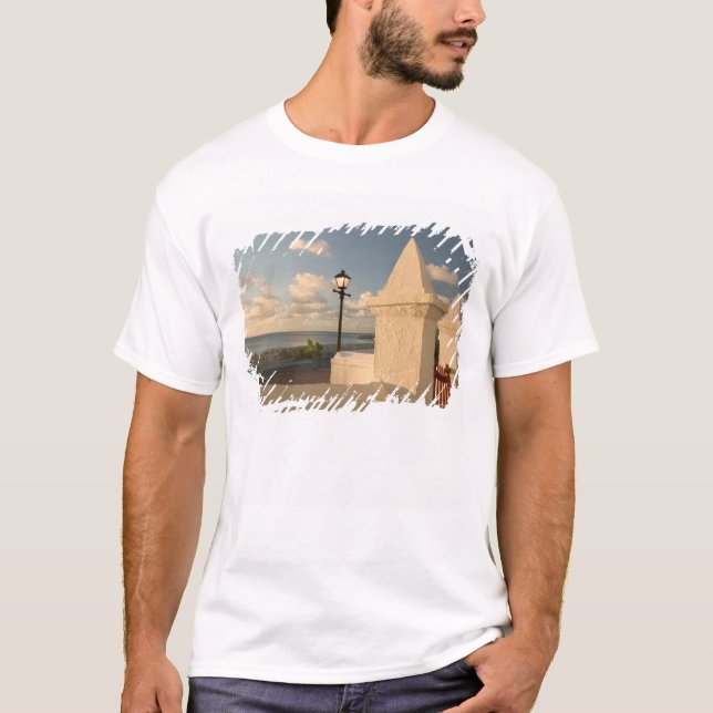 Camiseta Turcas y Caicos, Isla Gran Turca, Cockburn (Anverso)