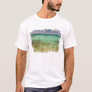 Camiseta Turcas y Caicos, Isla Gran Turca, Cockburn 2