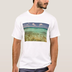 Camiseta Turcas y Caicos, Isla Gran Turca, Cockburn 2