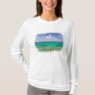 Camiseta Turcas y Caicos, Isla Gran Turca, Cockburn 3
