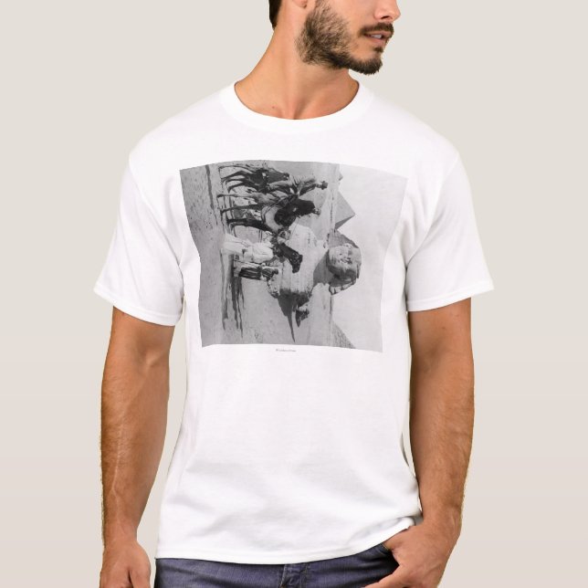 Camiseta Turistas de Egipto que viajan el Nilo, Sphix (Anverso)