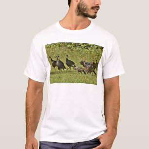 Camiseta Turquía salvaje, colores de camuflaje