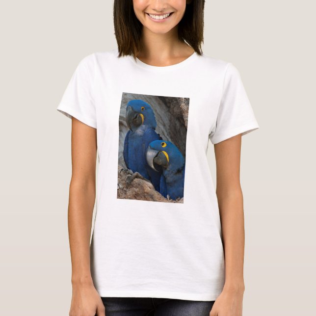 Camiseta Two Hyacinth Macaws, Brazil (Anverso)