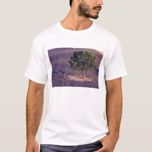 Camiseta UE, Francia, Provenza, Campos de lavanda