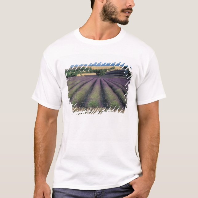 Camiseta UE, Francia, Provenza, Campos de lavanda 2 (Anverso)