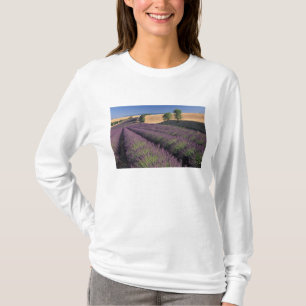 Camiseta UE, Francia, Provenza, Campos de lavanda 3