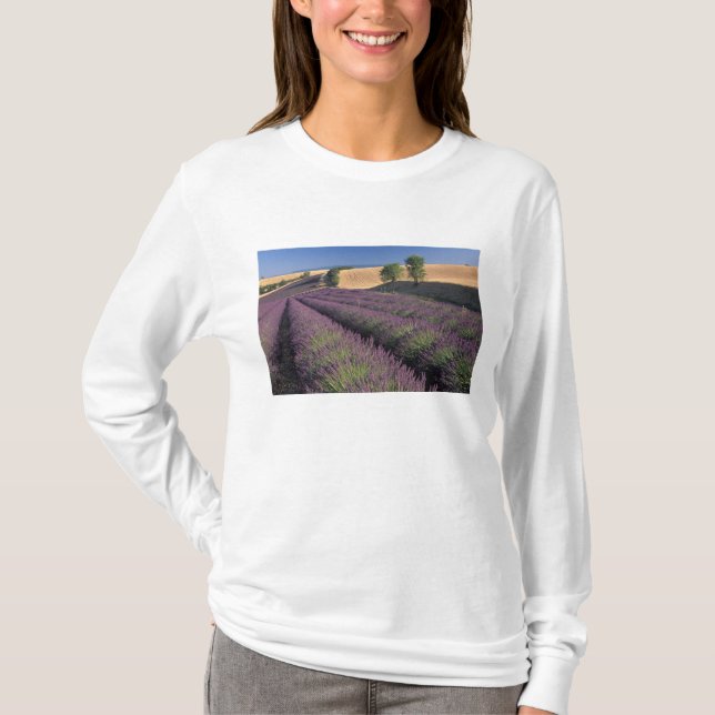 Camiseta UE, Francia, Provenza, Campos de lavanda 3 (Anverso)
