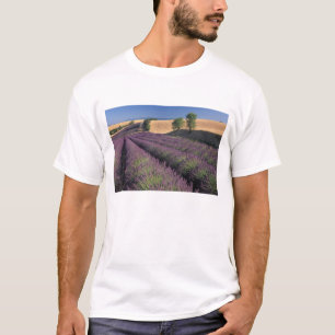 Camiseta UE, Francia, Provenza, Campos de lavanda 3