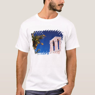 Camiseta UE, Grecia. Iglesia ortodoxa griega
