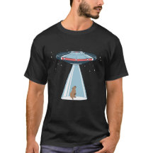 ufo de capibara