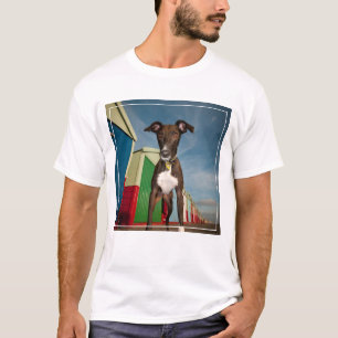 Camiseta Un Acechero Frente A Algunas Casas De Playa