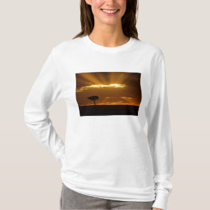 Camiseta Un amanecer con la boca abierta en el Maasai Mara