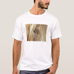 Camiseta Un amigo para nunca