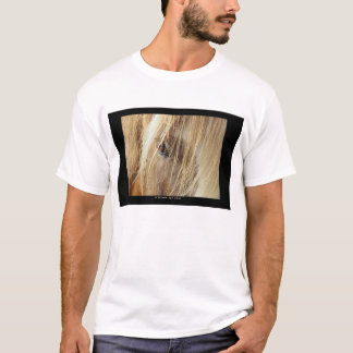 Camiseta Un amigo para nunca