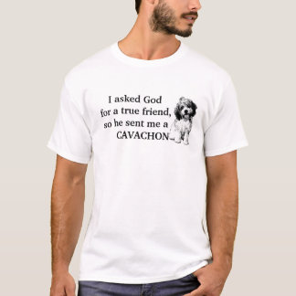 Camiseta Un amigo verdadero