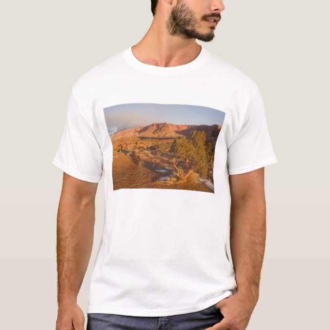 Camiseta Un árbol de enebro de Utah Juniperus osteosperma)  (Anverso)
