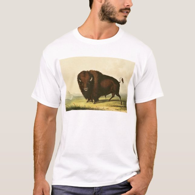 Camiseta Un bisonte, c.1832 (Anverso)