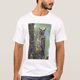 Camiseta Un búho de larga duración encaramado en una rama d