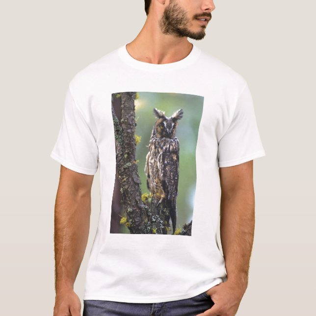 Camiseta Un búho de larga duración encaramado en una rama d (Anverso)