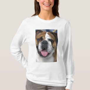 Camiseta Un bulldog inglés en Bélgica.