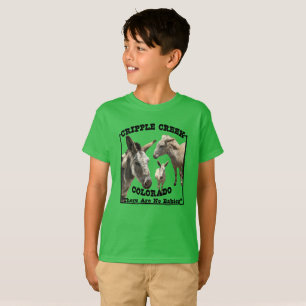 Camiseta Un Burro Gracioso No Hay Bebés