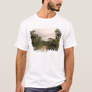 Camiseta Un camino alejado de la selva