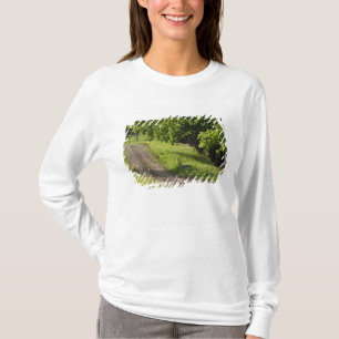 Camiseta Un camino rural en Ipswich, Massachusetts.