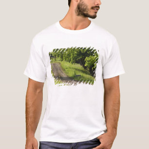 Camiseta Un camino rural en Ipswich, Massachusetts.