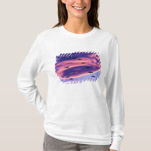 Camiseta Un compuesto fotográfico de grullas de sandhill en