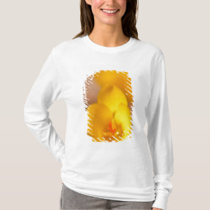 Camiseta Un crocus amarillo florece en Portsmouth, Nuevo