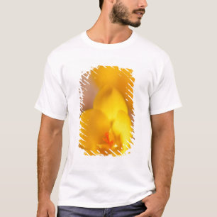 Camiseta Un crocus amarillo florece en Portsmouth, Nuevo