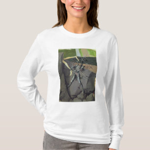 Camiseta Un demonio, de la 'coronación del Virgin